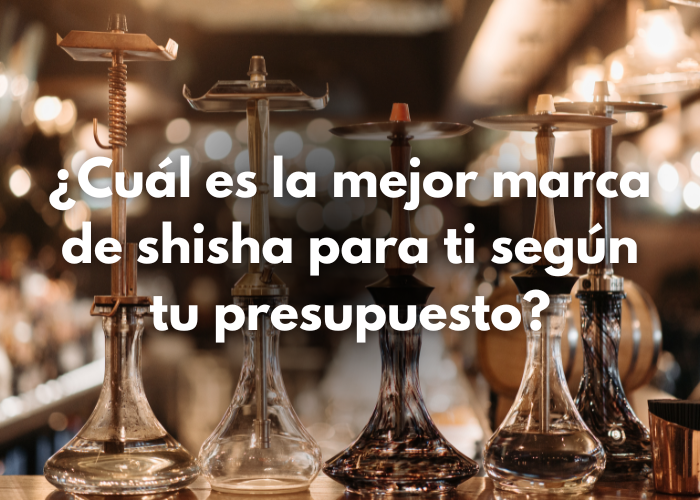¿Cuál es la mejor marca de shisha para ti según tu presupuesto?